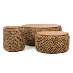DBodhi Knut Coffee Table - Set B