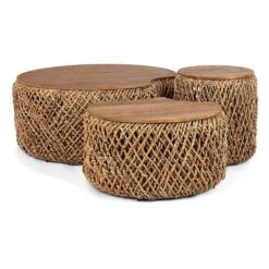 DBodhi Knut Padi Coffee Table - Set B