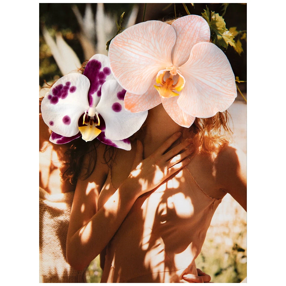 Sundance Print 1 Sundance Print