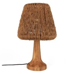 DBodhi Ben Table Lamp