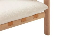 Nolan Lounge Chair -Trit Houses Shop Nolan lounge 7