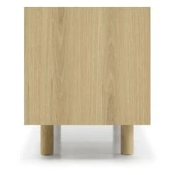 Otto 2 Doors TV Unit -Trit Houses Shop RIV01 01L01L200V2 SIDE