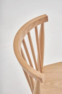 Requin Side Chair 35 Requin Side Chair -Trit Houses Shop S day2 0148