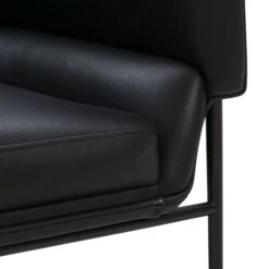 Collar Large Lounge Chair -Trit Houses Shop WEN C01 1 018 Black Parma 05