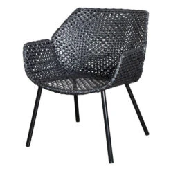 Vibe Lounge Chair -Trit Houses Shop can c01 0 032 black no cushion