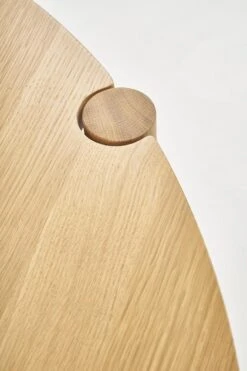 Cove Round Dining Table -Trit Houses Shop cove close up 01 1 ca89db30 a3ea 4f4c b847 bf88d6315ac3