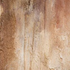 Jabiru Hand Painted Wall Art 6 Jabiru Hand Painted Wall Art -Trit Houses Shop g0000774.pt02 1