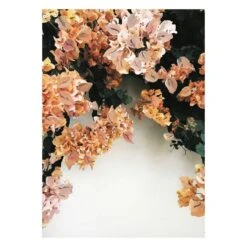Bougainvillea Print