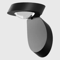 Pin-Up Wall/Ceiling Light