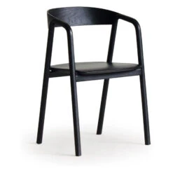 Inlay Dining Chair -Trit Houses Shop ski c02 1 012 black black 2