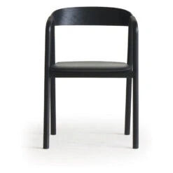 Inlay Dining Chair -Trit Houses Shop ski c02 1 012 black black