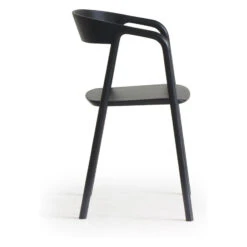 Inlay Dining Chair -Trit Houses Shop ski c02 1 012 black black 3