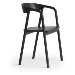 Inlay Dining Chair -Trit Houses Shop ski c02 1 012 black black 4