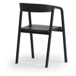 Inlay Dining Chair -Trit Houses Shop ski c02 1 012 black black 5