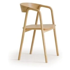 Inlay Dining Chair -Trit Houses Shop ski c02 1 012 light oak light oak 3