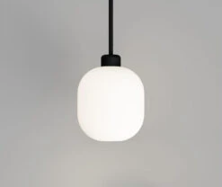Salon Lite Curve Pendant Lamp