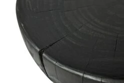 In The Flesh Side Table 1 -Trit Houses Shop uns b03 1 001 black 06