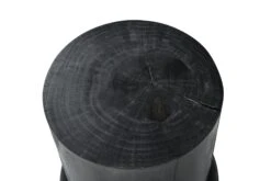 In The Flesh Side Table 2 -Trit Houses Shop uns b03 1 002 04