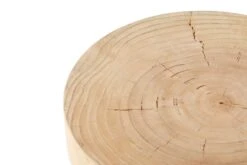 In The Flesh Side Table 5 -Trit Houses Shop uns b03 1 004 natural 03