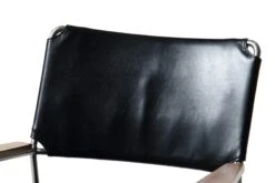 Outlaw Occasional Chair -Trit Houses Shop uns c01 1 006 08